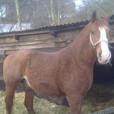 Frederiksborg Mads Ravnkilde