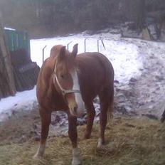 Frederiksborg Mads Ravnkilde