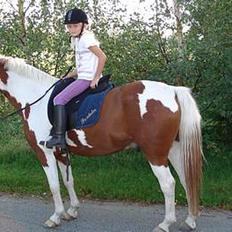 Anden særlig race Bornholm