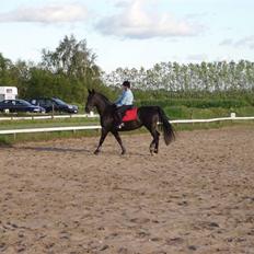 Anden særlig race Majsens Tequila. R.I.P.