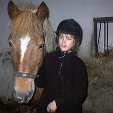 Haflinger Zola SOLGT