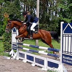 Anden særlig race Freja (solgt)