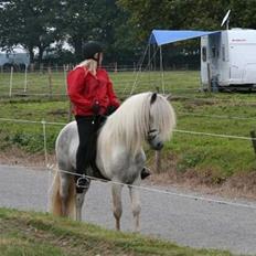 Islænder Hárekur fra Isafold