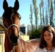 Dansk Varmblod   Victoria~Rest In Peace†