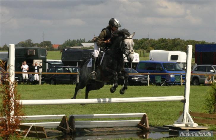 Anden særlig race (¯`v´¯)JAZZ - SJM. over vandet... vi blev nr. 2 billede 7