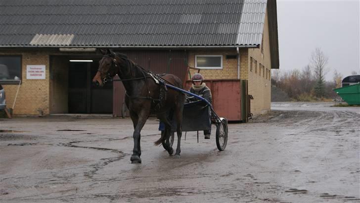 Traver Orlov Pacific Ocean  *solgt* - færdig på banen. billede 8