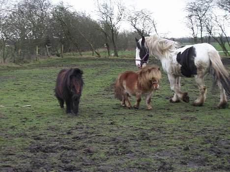 Tinker Chika Cherie - kan i så opføre jer ordenligt billede 10