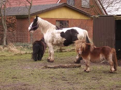 Tinker Chika Cherie - shh jeg kan høre noget billede 11
