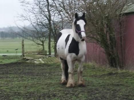 Tinker Chika Cherie - hej hej kom du lige der billede 16