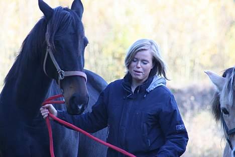 Dansk Varmblod Anna Elkærgård - Henter anna på fold billede 6