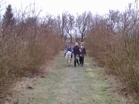 Anden særlig race Mille/Ginny ( aflivet) - her kommer vi oppe fra frugthaven billede 2