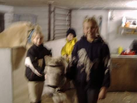 Anden særlig race Mille/Ginny ( aflivet) - her er min lillebror oppe og sidde på hende!! billede 5