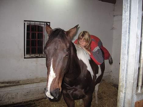Paint Junior *R.I.P* :'( - Ligger og slapper af for sidste gang billede 11