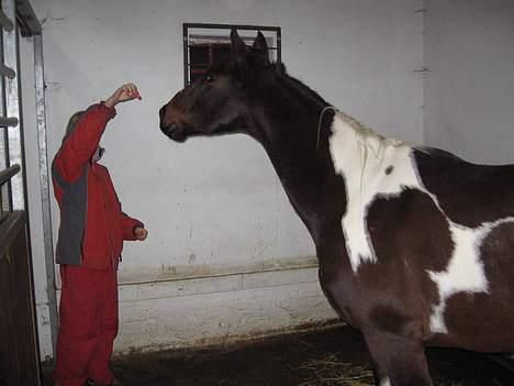 Paint Junior *R.I.P* :'( - Fanger sin sidste gulerod billede 12