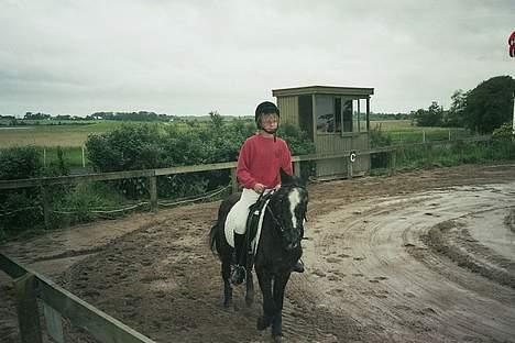 Anden særlig race Jackie billede 7