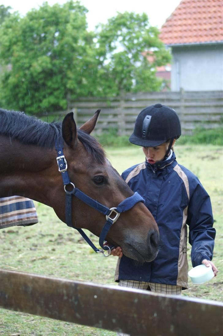Dansk Varmblod Dijon - Haha mulle og basse <3.. Mulle du laver da bare de skønneste udtryk? :D Foto Karen RH. billede 11