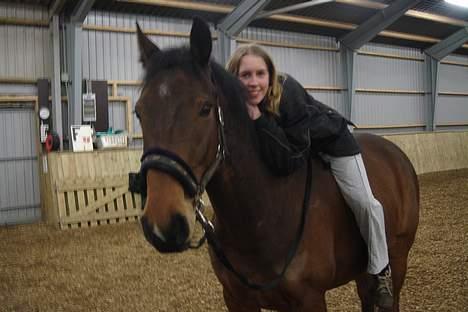 Dansk Varmblod major "Hvor er du?" billede 20