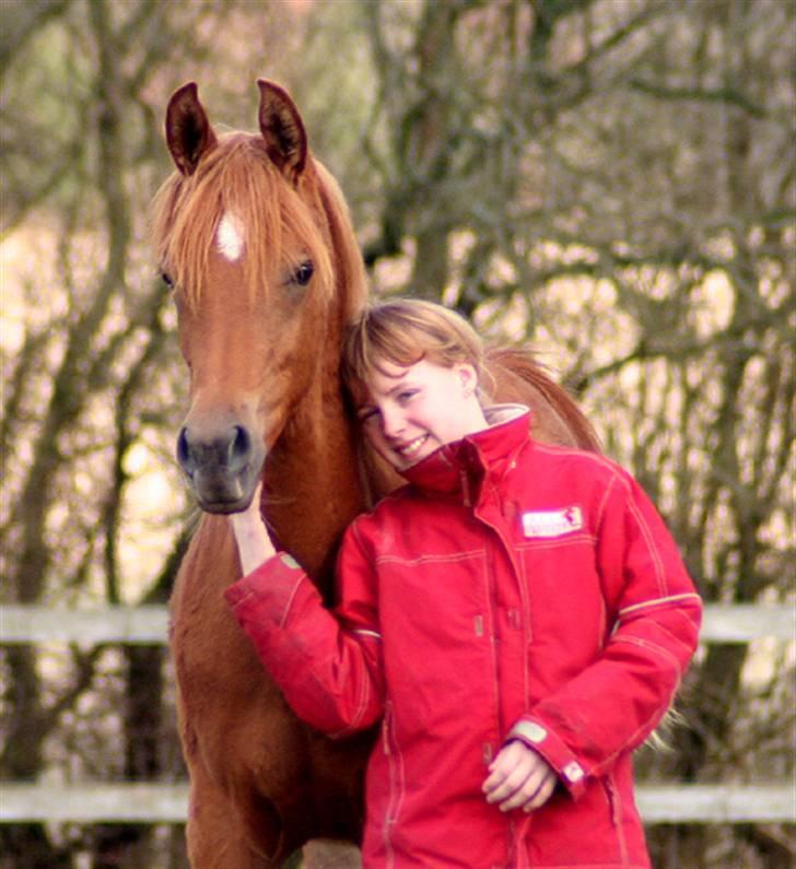 Arabisk fuldblod (OX) WML Jeenah Al Hawah - Jeenah Al Hawah & Melissa marts 2008 billede 8