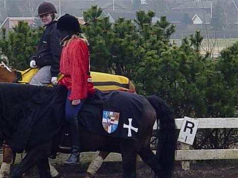 New Forest Batman R.I.P - Batter og jeg, som ridder :) Jeg er ikke alt for køn på det billede :D billede 19