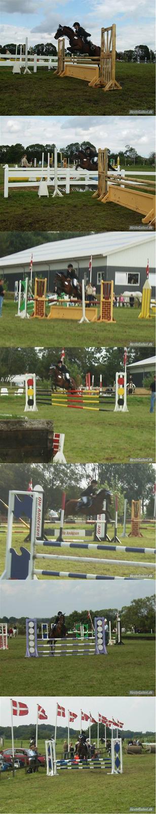 Tysk Sportspony P-TIM (Søsters) - c-stævne i Egtved - LA+MB (nogle af billederne er fra Sydjysk Mesterskab) billede 15