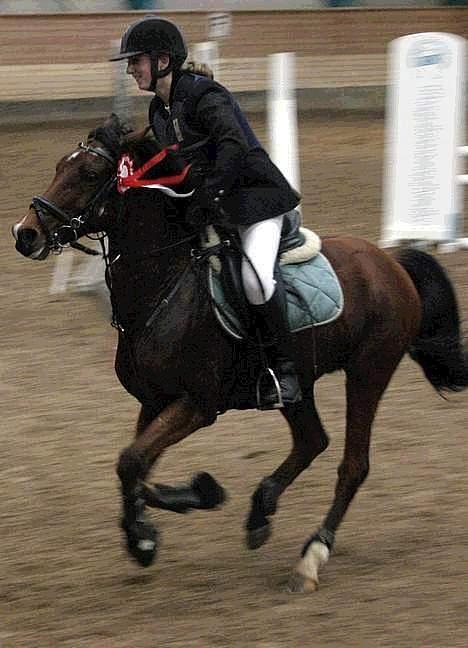 Tysk Sportspony P-TIM (Søsters) - Tim og Freja har vundet en LA billede 18