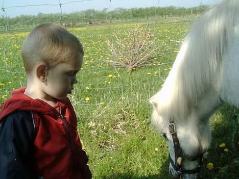 Anden særlig race Mille/Ginny ( aflivet) - jeppe og mille!!! billede 11