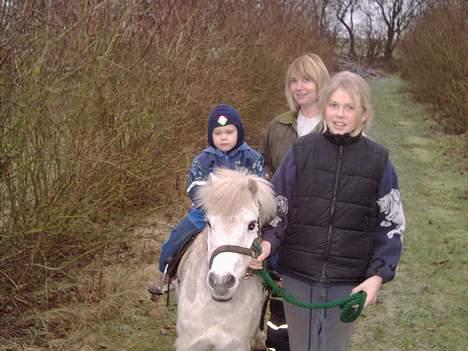 Anden særlig race Mille/Ginny ( aflivet) - hun gad ikke at stoppe!! billede 12