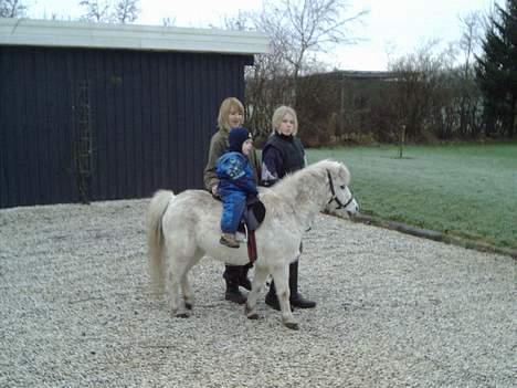 Anden særlig race Mille/Ginny ( aflivet) - os i grusset!!!! billede 13