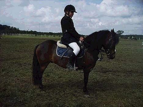 Anden særlig race (¯`v´¯)Lukas SOLGT :'( - til stævne  billede 6