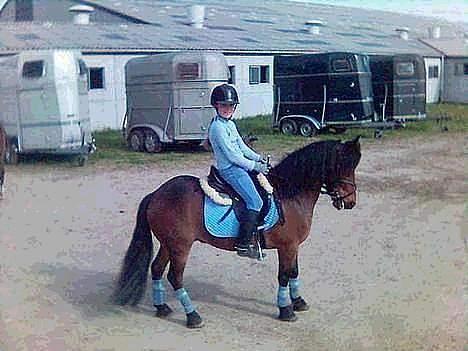 Anden særlig race (¯`v´¯)Lukas SOLGT :'( - på rideskolen billede 8