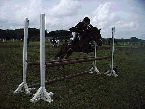 Anden særlig race (¯`v´¯)Lukas SOLGT :'( - opvarmning til c-stævne billede 10