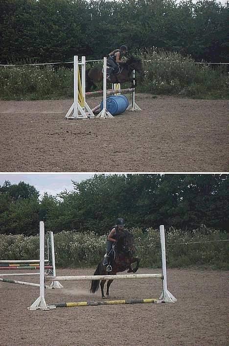 Anden særlig race (¯`v´¯)Lukas SOLGT :'( - træning billede 11