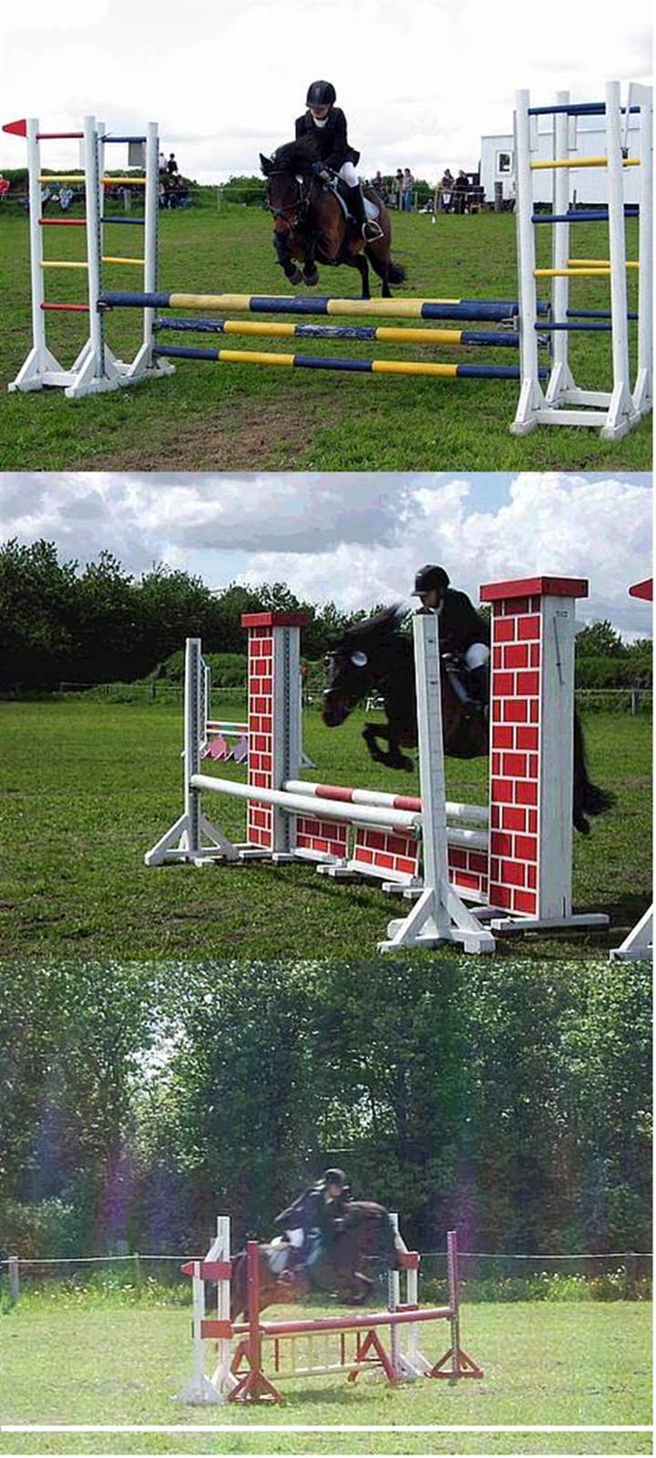 Anden særlig race (¯`v´¯)Lukas SOLGT :'( - til stævne i bolderslev billede 12