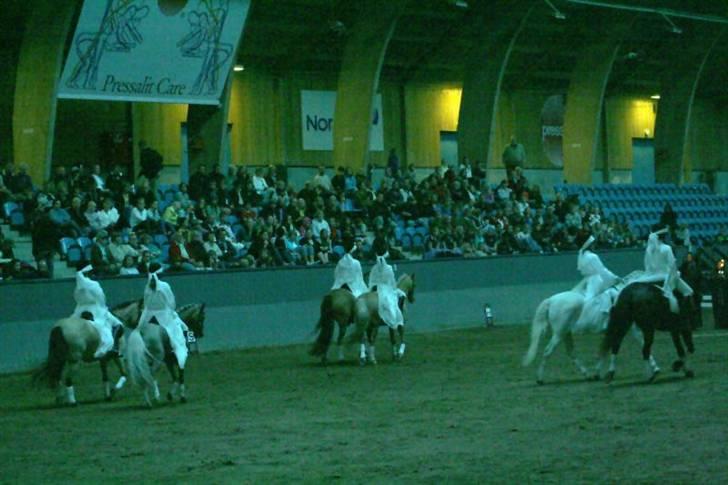 Welsh Pony (sec B) Bjerregårds Montbars(RIP) - opvisning på vilhelmsborg 08 DM for ponygames show. Fotograf: Ann louise billede 12