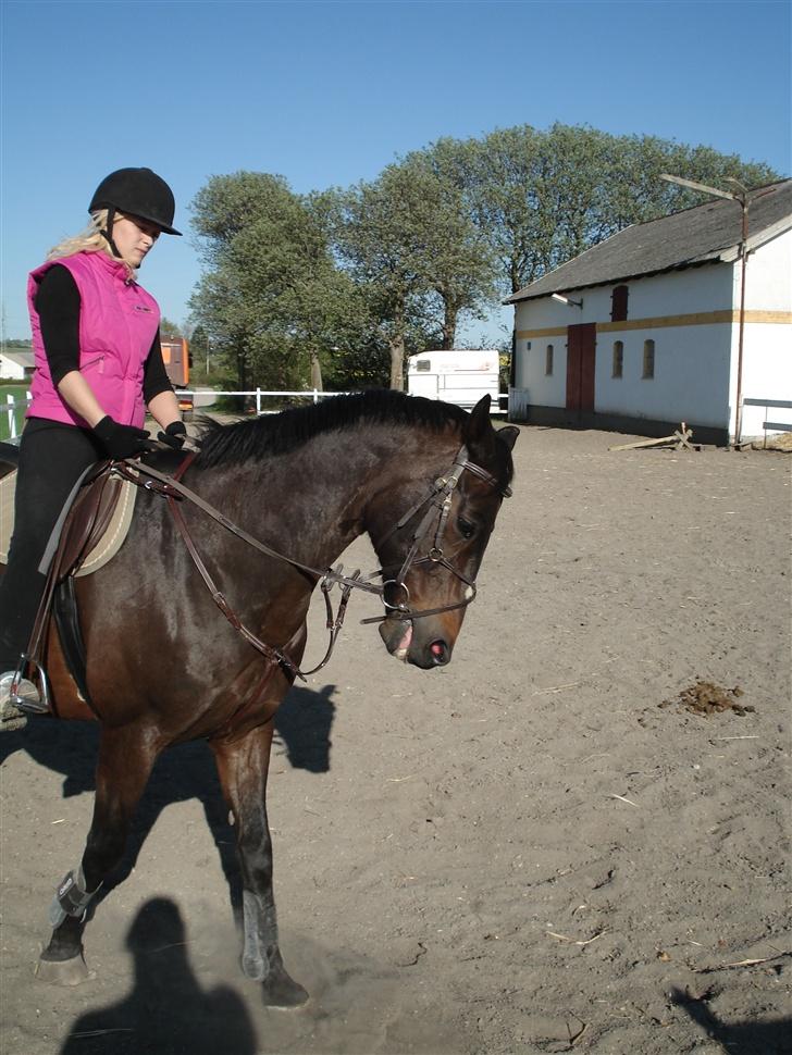 Anden særlig race Little Man Tate - På banen derhjemme billede 7