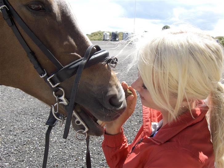 Hollandsk Sportspony Super Babe (Solgt) - Intet Spørgsmålstegn om hvor meget jeg elsker min pony {: <3 billede 4