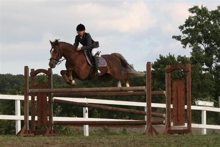 Hollandsk Sportspony Super Babe (Solgt) - I kellerup , taget af Kristina Outzen ;D billede 10