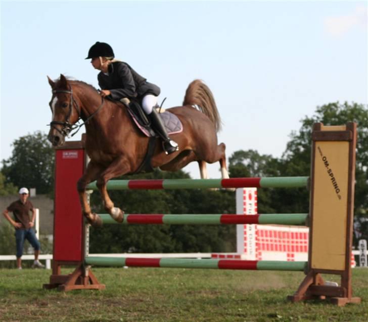 Hollandsk Sportspony Super Babe (Solgt) - I kellerup , louise S :D billede 13