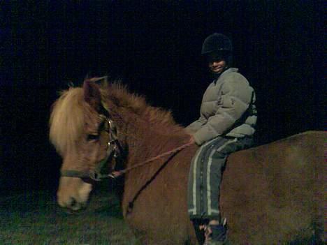 Islænder Silja fra Godthåb[SOLGT] - billede 7 taget lige før Lørdag d. 3/3-07 undskyld kvaliteten..  billede 7