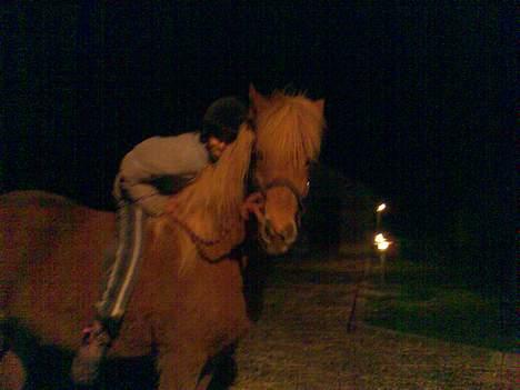 Islænder Silja fra Godthåb[SOLGT] - billede 8 taget lige før Lørdag d. 3/3-07 undskyld kvaliteten billede 8