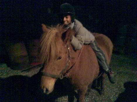 Islænder Silja fra Godthåb[SOLGT] - billede 9 taget lige før Lørdag d. 3/3-07 undskyld kvaliteten billede 9