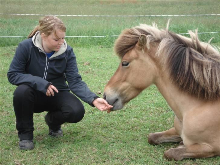Islænder Snug fra Yggdrasil *SOLGT - Snugg && jeg på marken (: <3 Love you horse. MÅ IKKE KOPIERS billede 1