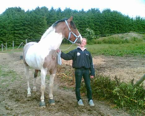 Pinto Scirrocco  - Rock har fået øje på noget utrolig spændende :) 2006 billede 11