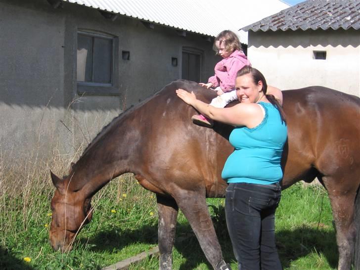 Holstener chester *RIP* - melanie på chester billede 2