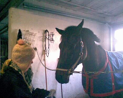 Traver | Teddy Hastrup R.I.P :'( - #6 Pebby og Teddy. - Jeg elsker jer :´)?.. billede 5