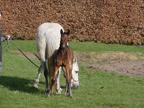 Traver Orlov Pacific Ocean  *solgt* - første dage ude 2007 billede 11