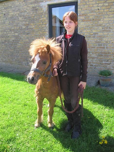 Shetlænder Zmall - "Heej.. Velkommen til min profil.. Håber i kan lig mig ?" billede 1