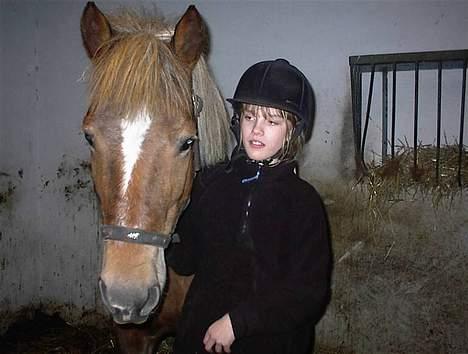 Haflinger Zola SOLGT - "Mig og søde Pernille.." billede 3