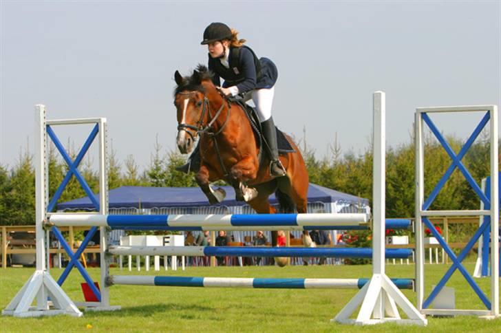 Anden særlig race Freja (solgt) - Smukke´pigen billede 1