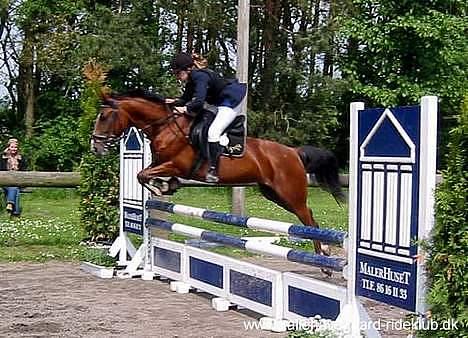 Anden særlig race Freja (solgt) - Et stævne på Kallehavegaard billede 2